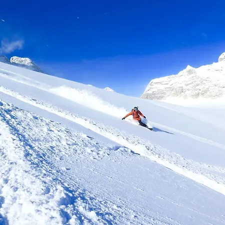 Appartement Rettensteiner *