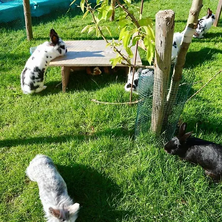 Rettensteiner Appartement