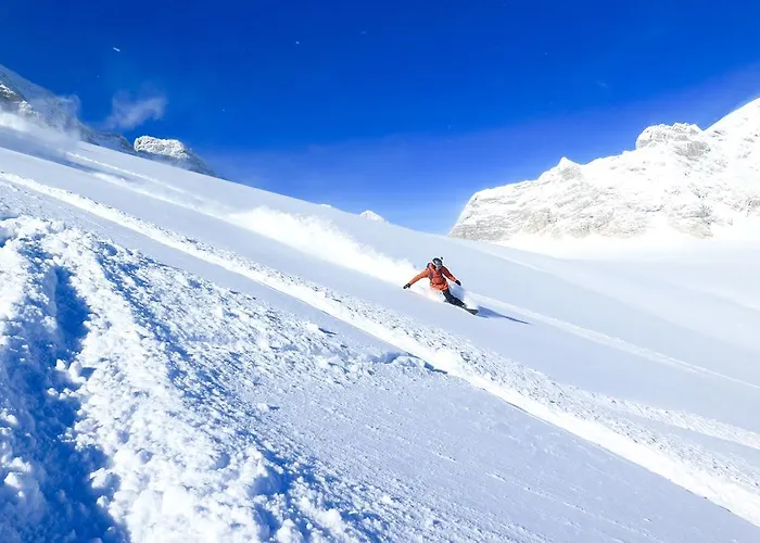 Apartman Rettensteiner *