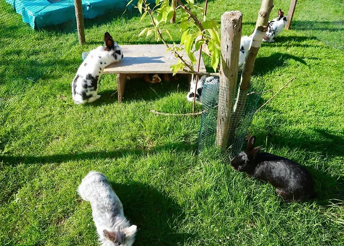 Rettensteiner Apartman